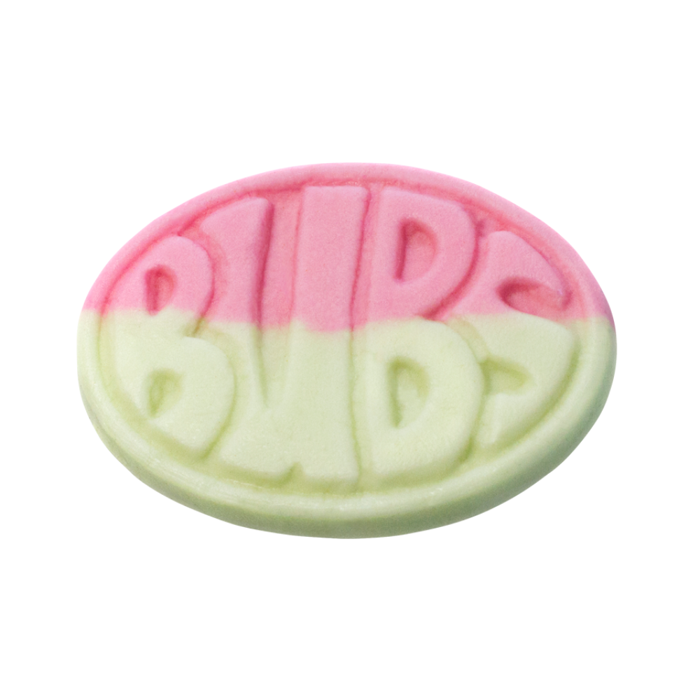 4oa Sweet Watermelon Bubs - Lolly